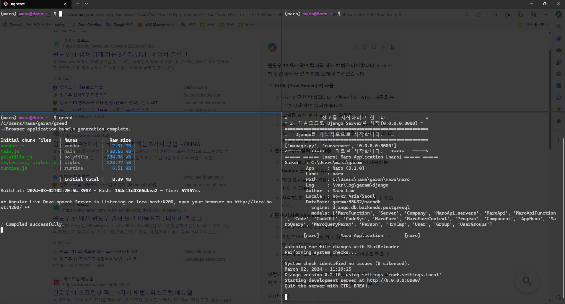 Windows 11 Terminal
